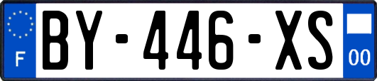 BY-446-XS