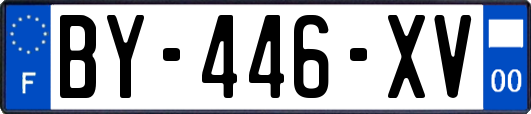 BY-446-XV