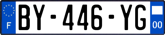 BY-446-YG