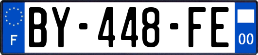 BY-448-FE