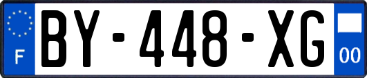 BY-448-XG