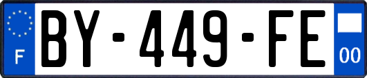 BY-449-FE