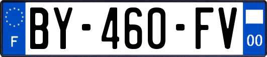 BY-460-FV