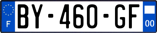 BY-460-GF