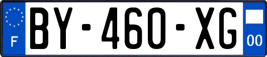 BY-460-XG