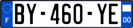BY-460-YE
