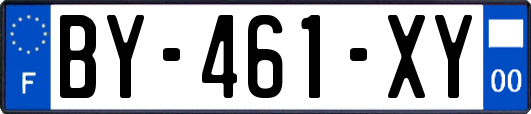 BY-461-XY