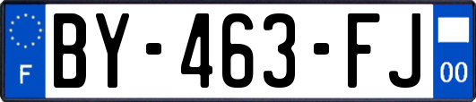BY-463-FJ