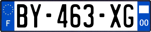 BY-463-XG