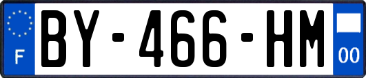 BY-466-HM