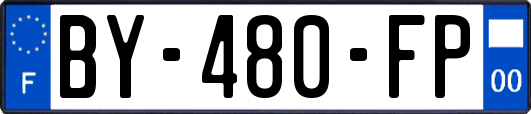 BY-480-FP
