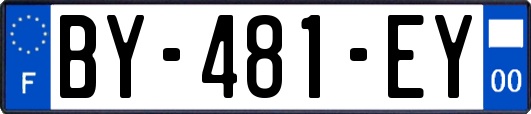BY-481-EY