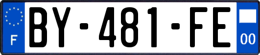 BY-481-FE
