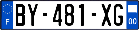 BY-481-XG