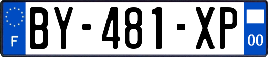 BY-481-XP