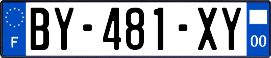 BY-481-XY