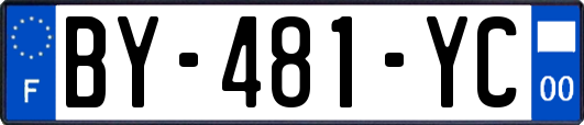 BY-481-YC