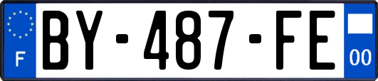 BY-487-FE
