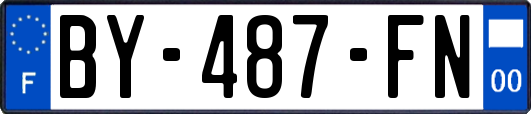 BY-487-FN
