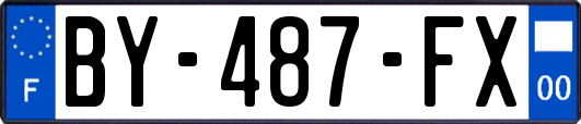 BY-487-FX