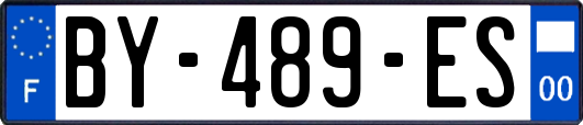 BY-489-ES