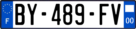 BY-489-FV