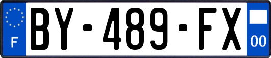 BY-489-FX