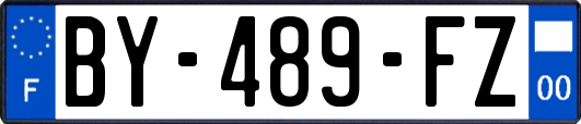 BY-489-FZ