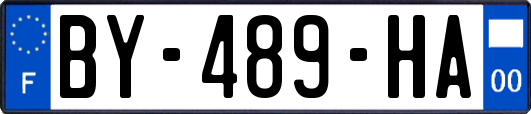 BY-489-HA