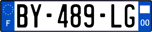 BY-489-LG