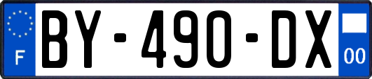 BY-490-DX