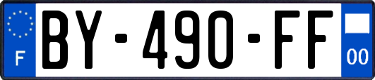 BY-490-FF