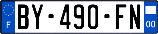 BY-490-FN