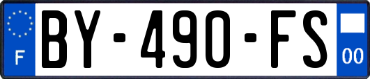 BY-490-FS