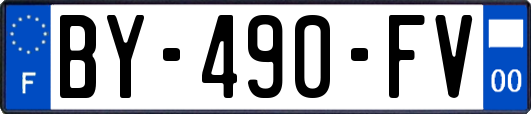 BY-490-FV