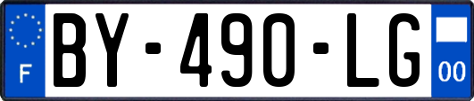 BY-490-LG