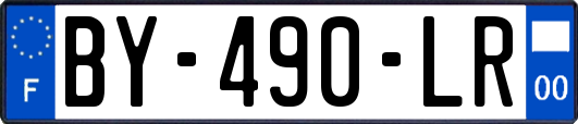 BY-490-LR