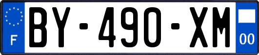 BY-490-XM