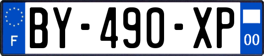 BY-490-XP