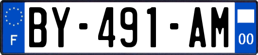 BY-491-AM