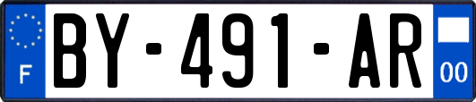 BY-491-AR