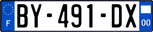 BY-491-DX