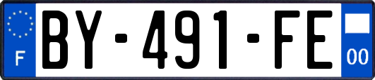 BY-491-FE
