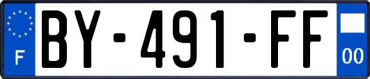 BY-491-FF