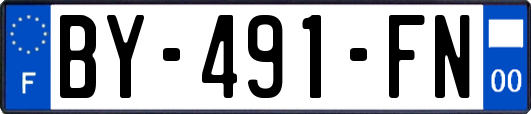 BY-491-FN