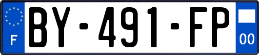 BY-491-FP