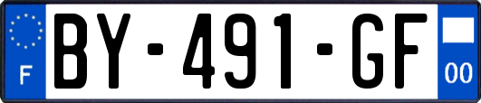 BY-491-GF