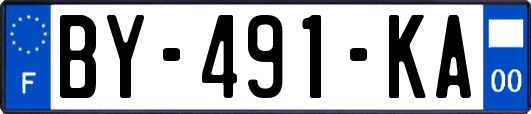BY-491-KA