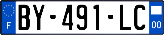 BY-491-LC