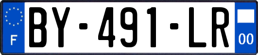 BY-491-LR